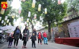 Phố bích họa Phùng Hưng ngập tràn không khí Tết cổ truyền